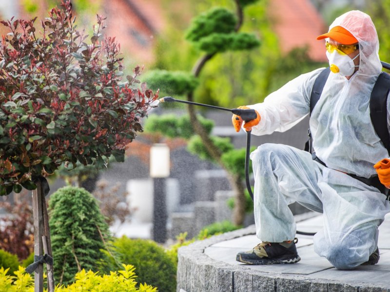 Başiskele Haşere İlaçlama